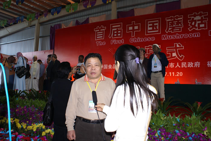 立兴集团董事长在首届中国蘑菇节上接受采访